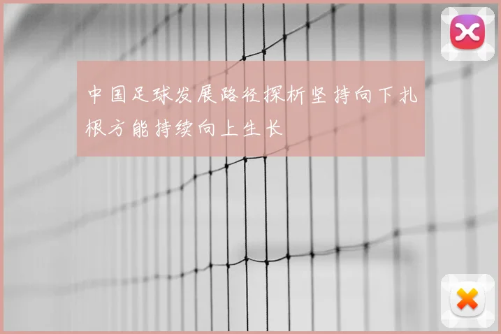 中国足球发展路径探析坚持向下扎根方能持续向上生长